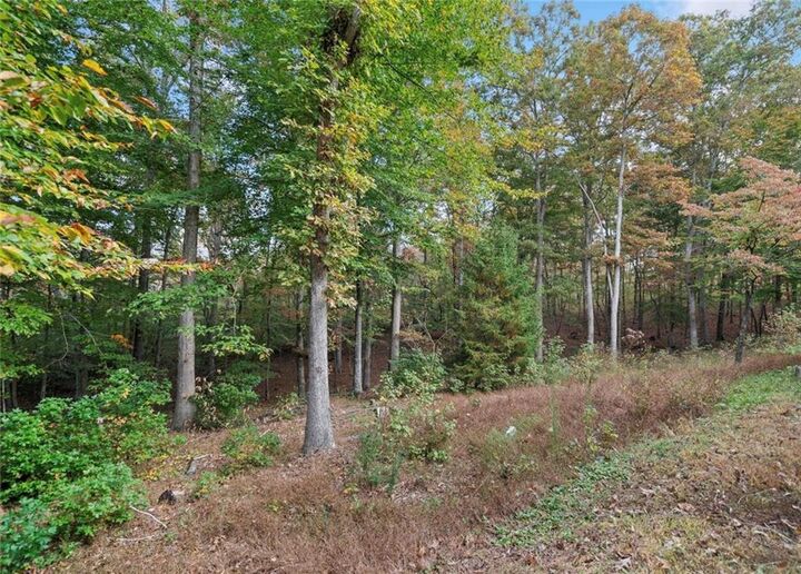 Property Photo: 000 Ammons Drive GA 30183