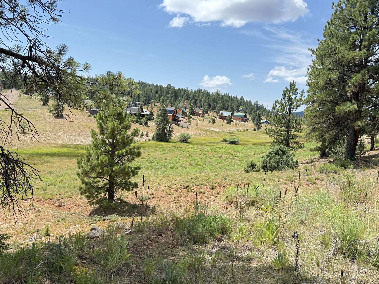 Property Photo: 330 N Grassy Trail UT 84762