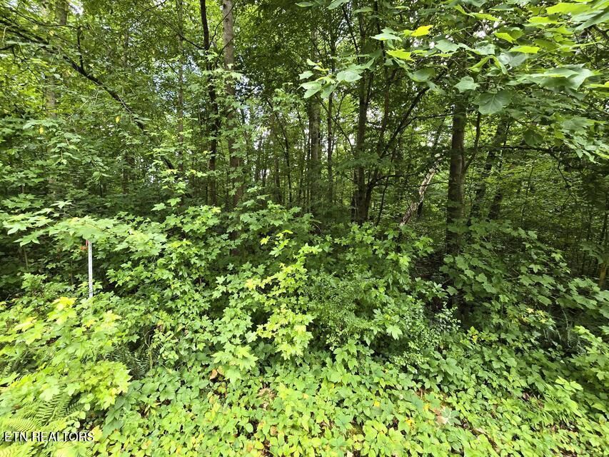 Property Photo:  Lot 133 Lower Brow Rd  TN 37327 