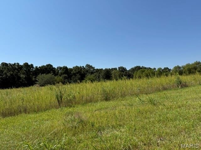 Property Photo: 0 Lot 8 Mikathric Estates MO 63383