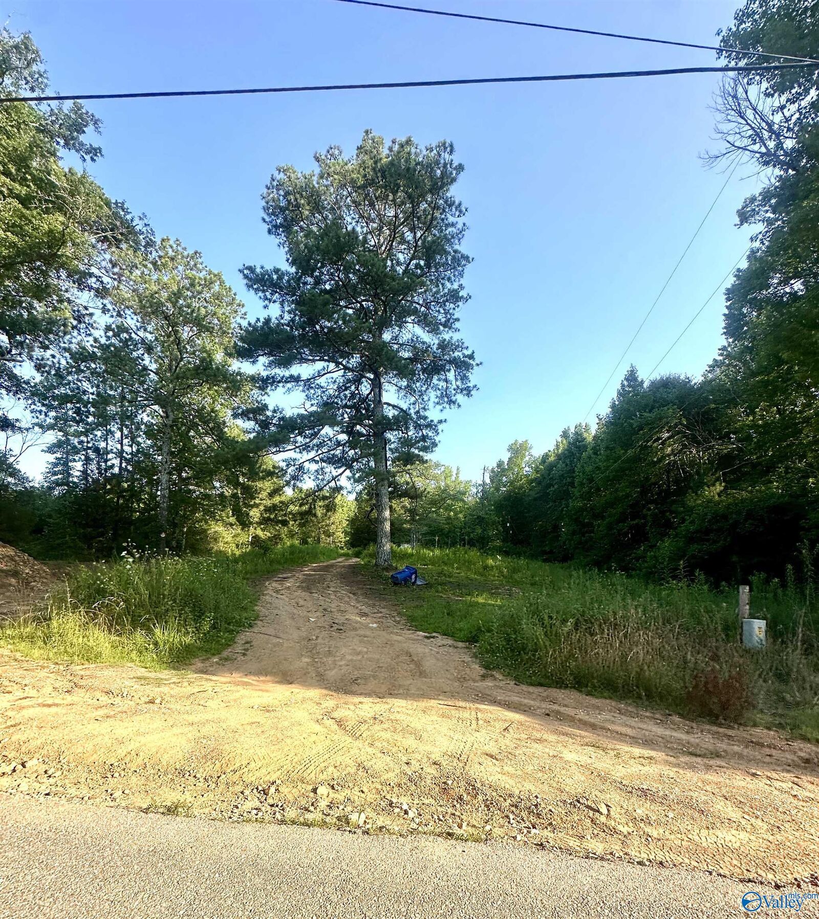 Property Photo:  3707 Vaughn Road  AL 35952 