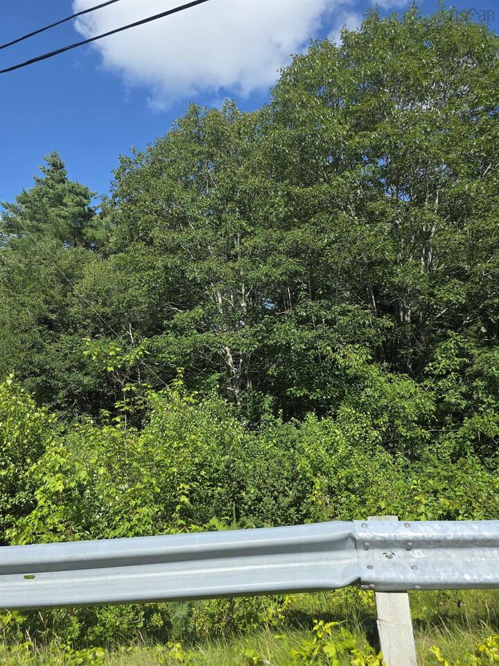 Property Photo:  Nil Shore Road Corner Of Hwy 3 And Shore Road, Birchtown  NS B0T 1W0 