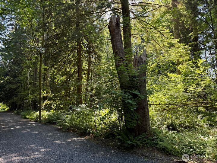 Property Photo: 0 Silver Lake Road WA 98266