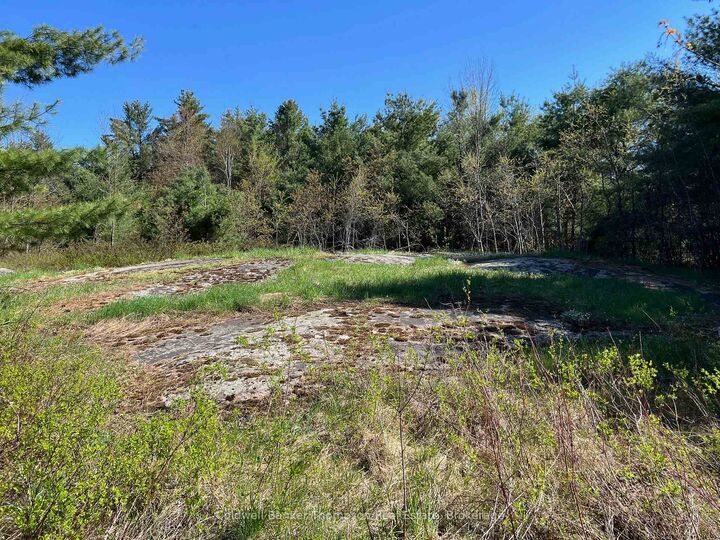 Property Photo:  1513 Fairgrounds Road  ON L0K 2B0 