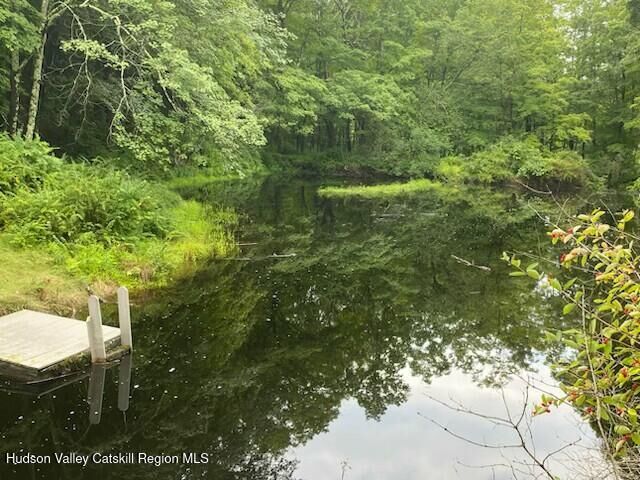 Property Photo:  154 Lang  NY 12404 