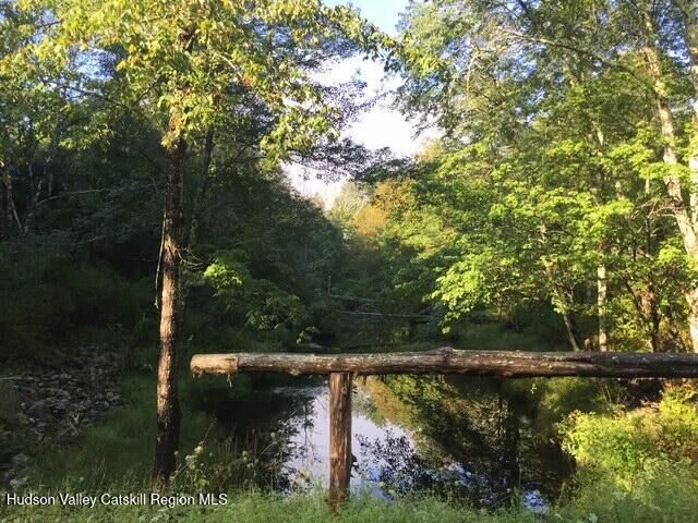 Property Photo: 154 Lang NY 12404
