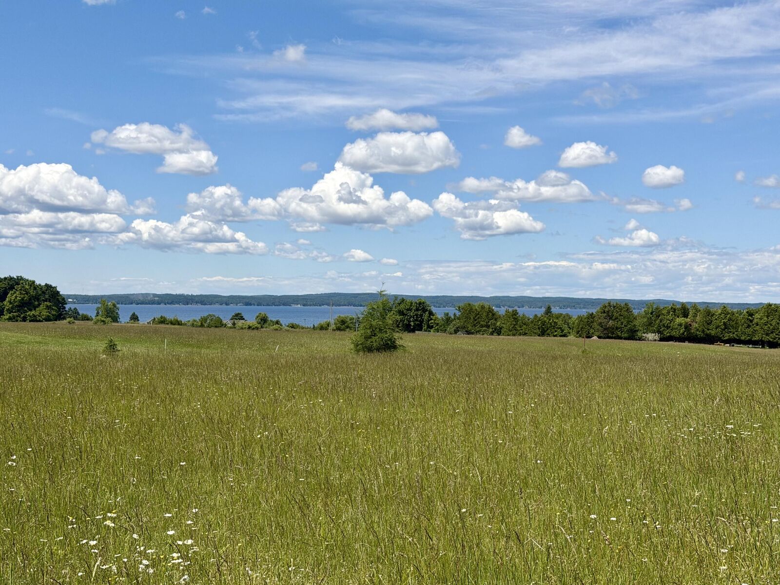 Property Photo: 1321 Pioneer Road MI 49721