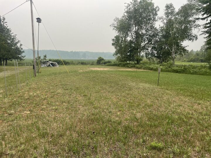 Property Photo: 3174 Candy Lane MI 49749