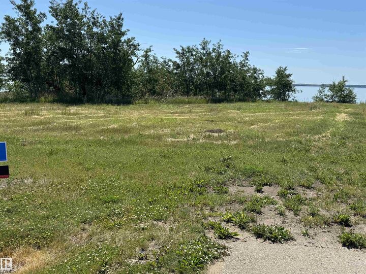 Property Photo:  217 Lakeview Drive  AB T0B 0H3 