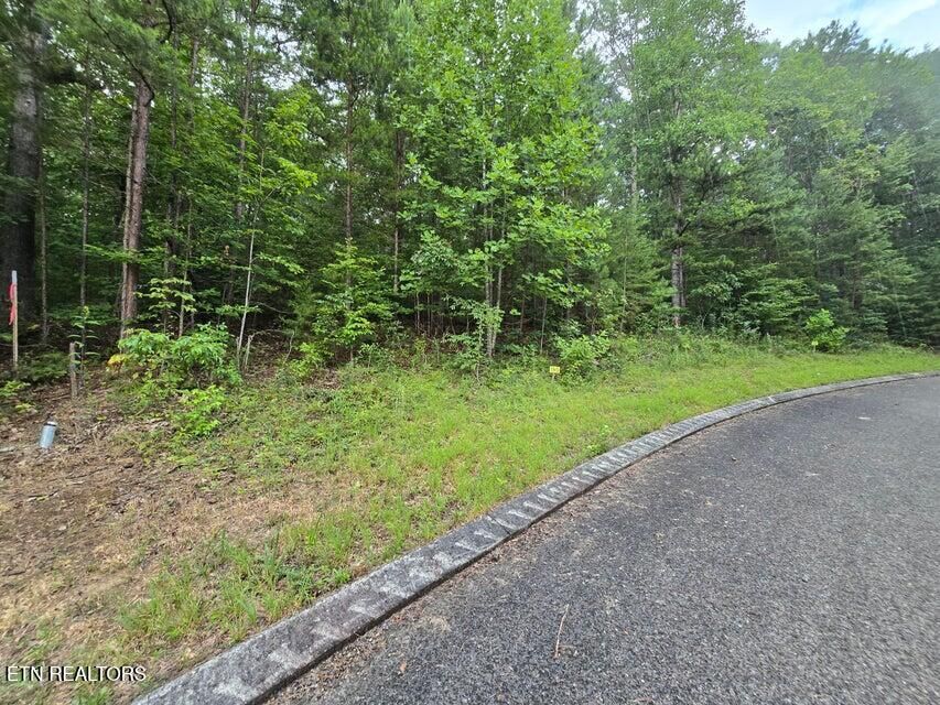 Property Photo:  Lot 155 Lower Brow Rd  TN 37327 