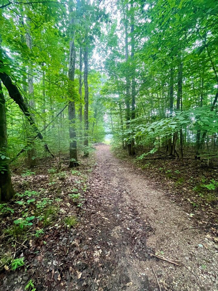 Property Photo: V/L 8 Forest Trail MI 49615