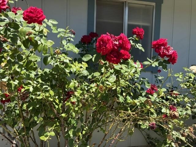 Property Photo: 4021 Bright Court CA 95667