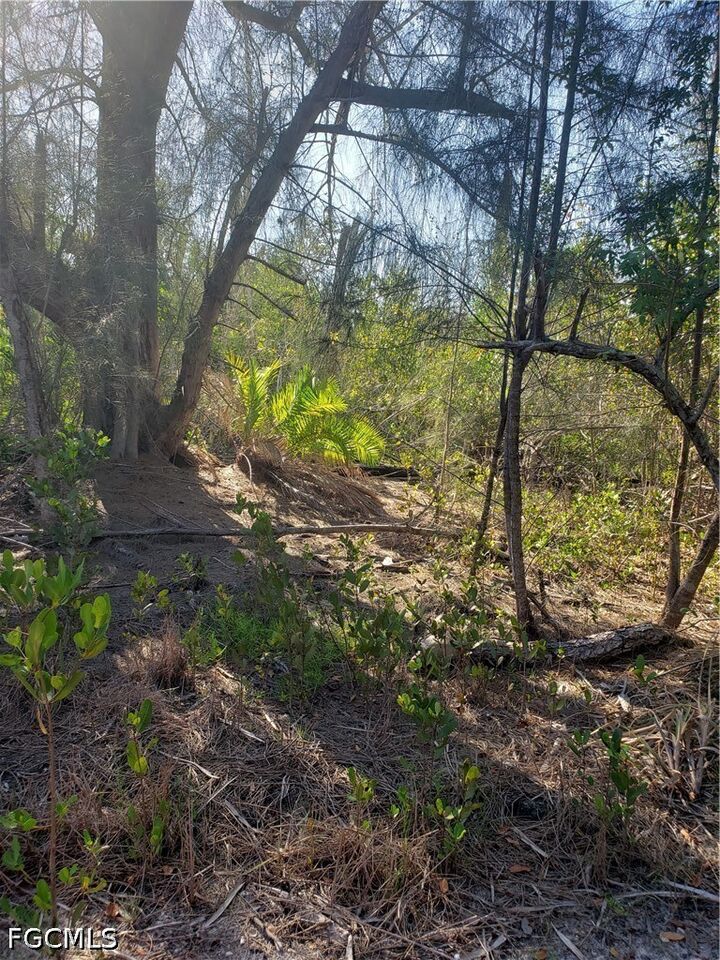 Property Photo:  Tbd Masters Landing Drive  FL 33956 