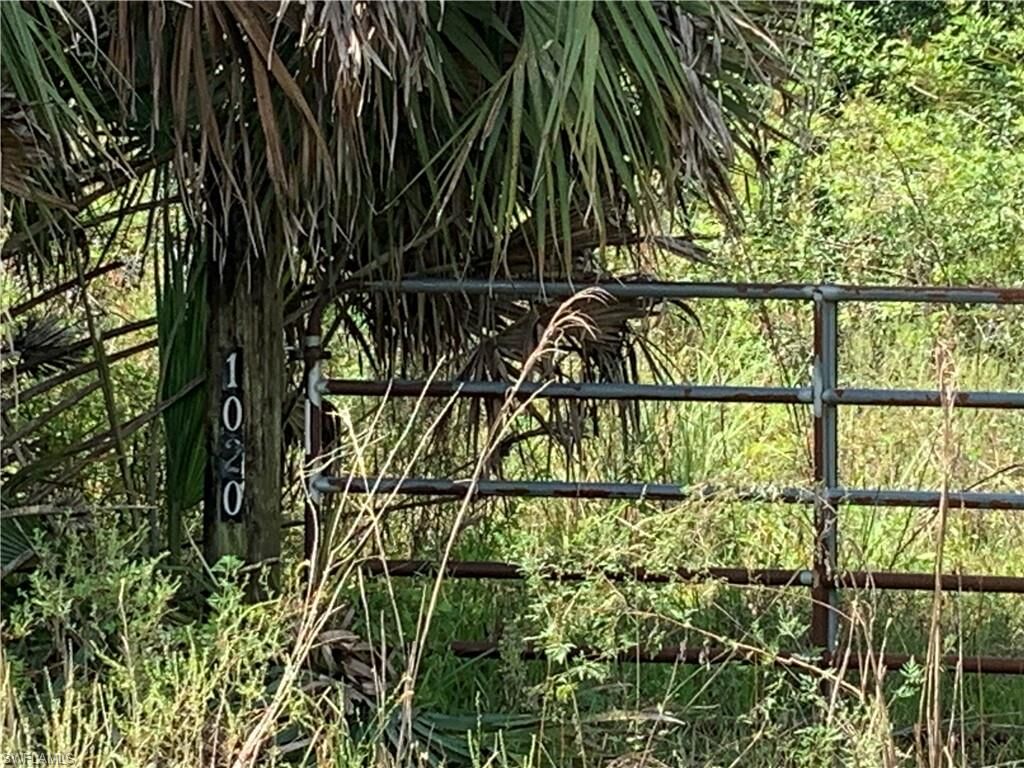 Property Photo: 1020 Limpkin Rd FL 34120