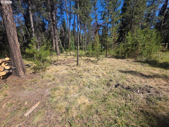 Property Photo:  17040 Island Loop Way  OR 97707 