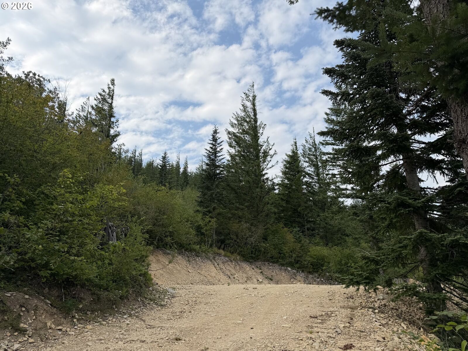 Property Photo:  0 Snag Mountain Rd 112  WA 98671 