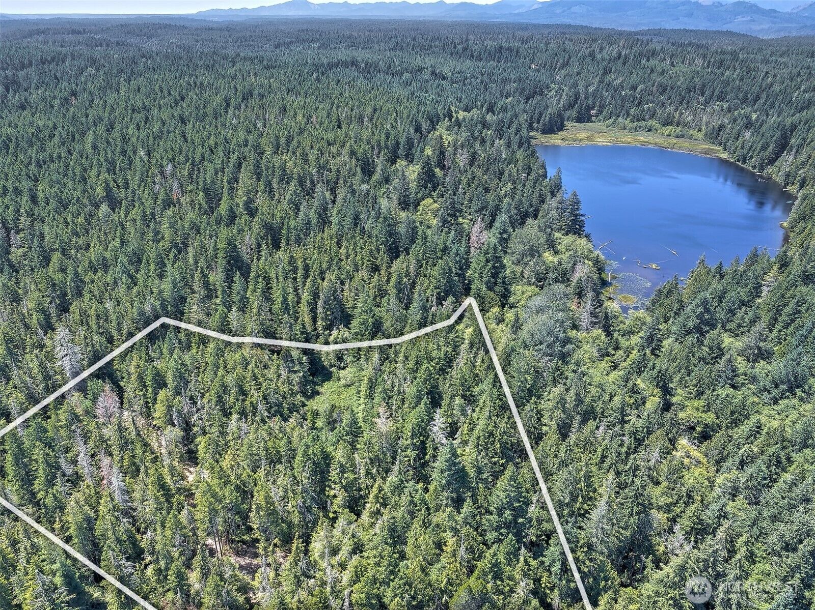 Property Photo:  0 NE Eagle Creek Lane  WA 98528 