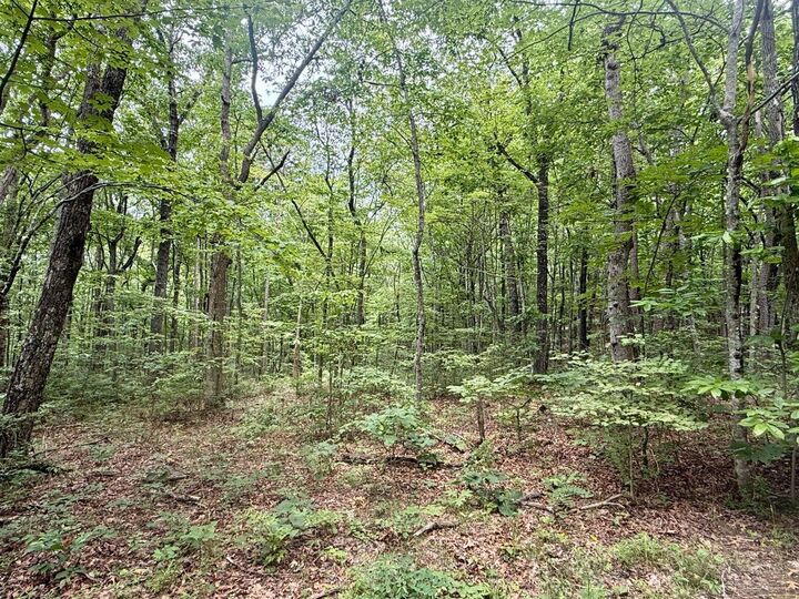 Property Photo:  18.69 Ac Windridge Drive  TN 37327 