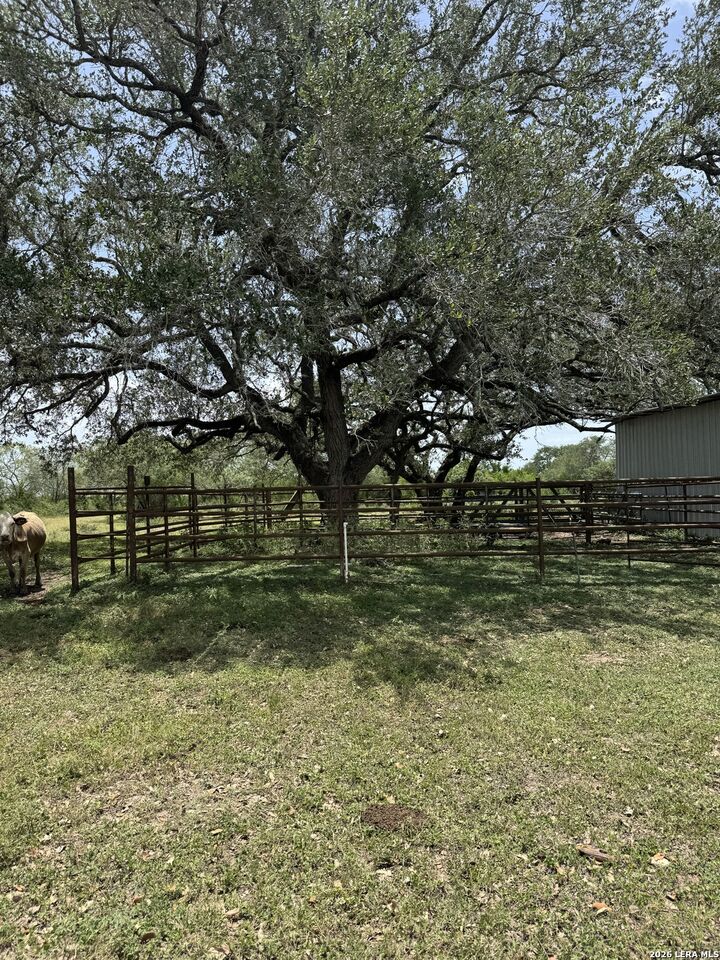 Property Photo: 627 Ochoa TX 78141