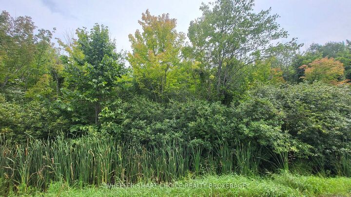 Lot 6 Tolmies Corners Road — photo 1