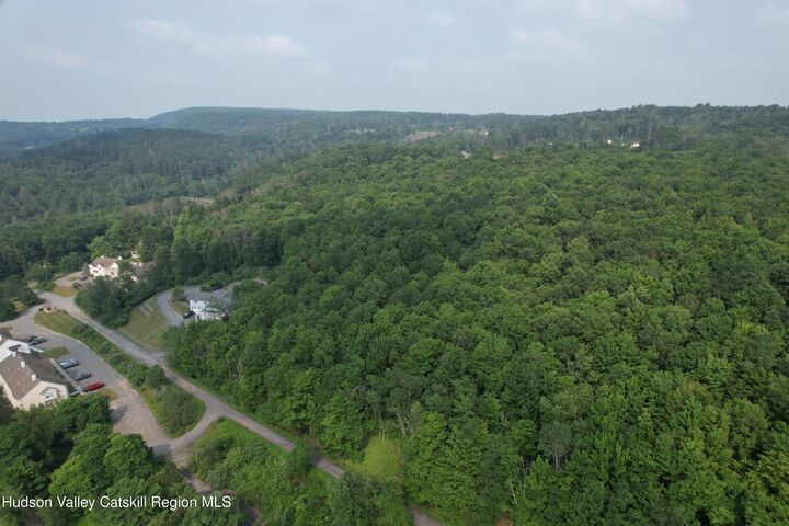 Property Photo: 00* Timberwolf NY 12754