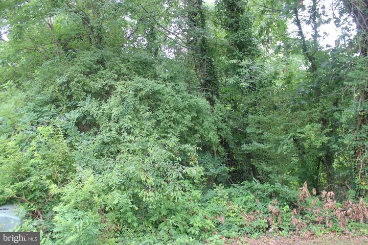 Property Photo:  26457 Peninsular Drive  MD 20636 