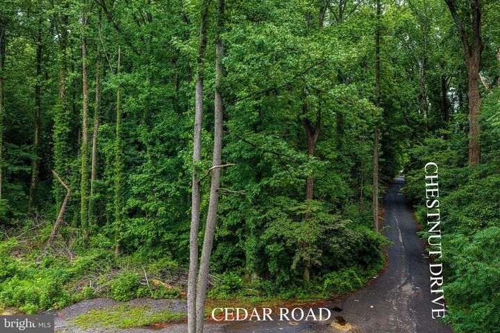 Property Photo:  13304 Chestnut Drive  MD 20720 