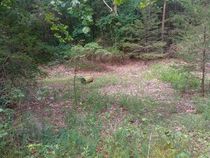 Property Photo:  Off Of Lawrence 106  AR 72459 
