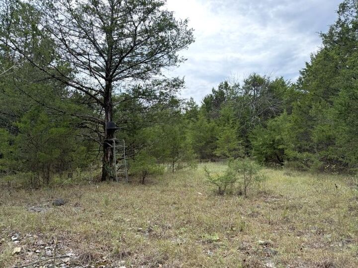 Property Photo:  Off Of Lawrence 106  AR 72459 