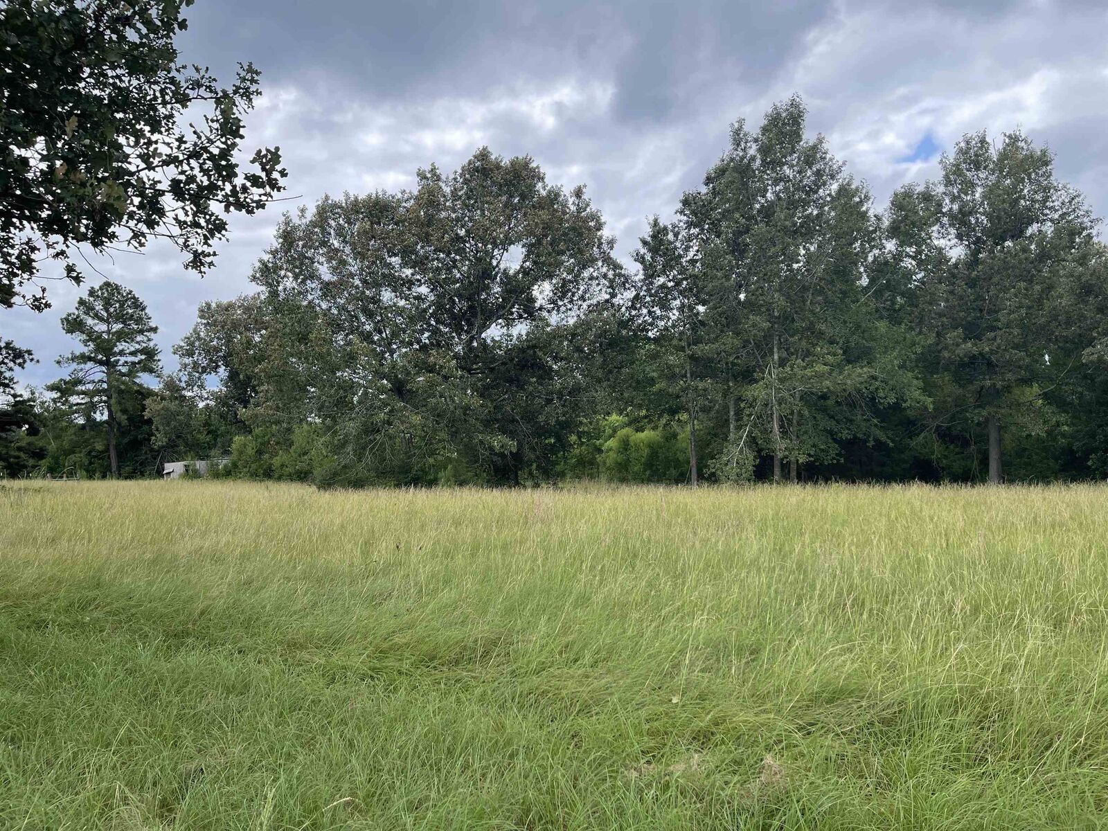 Property Photo: Tbd Fm 1970 TX 75633