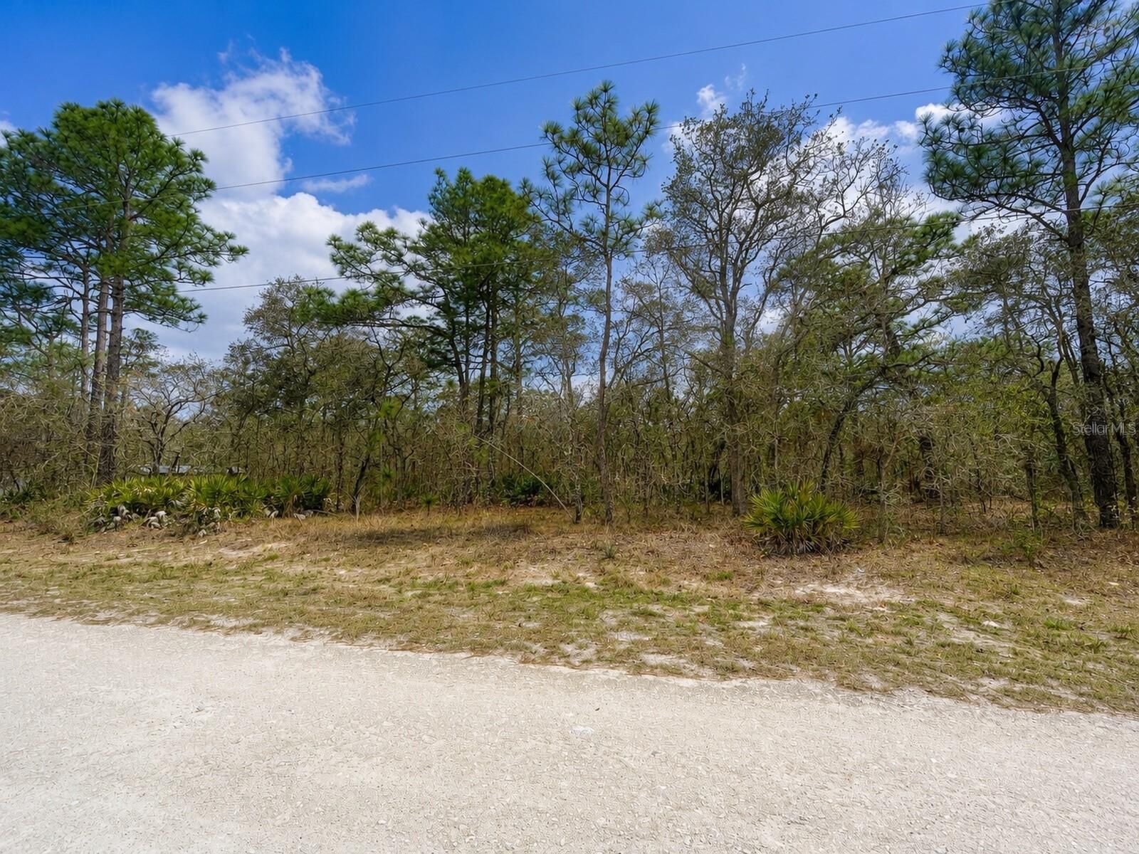 Property Photo: 0 Myland Road FL 34614