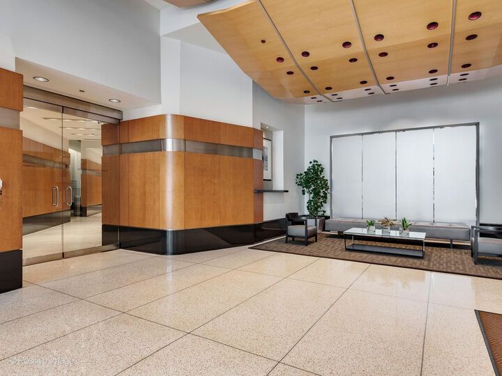 Property Photo: 512 N McClurg Court 5002 IL 60611