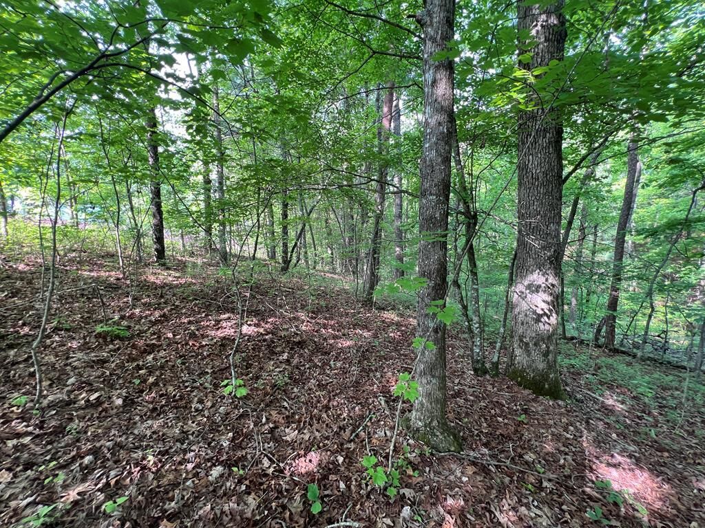 Property Photo:  9 + Acre Leonard Lane  NC 28906 