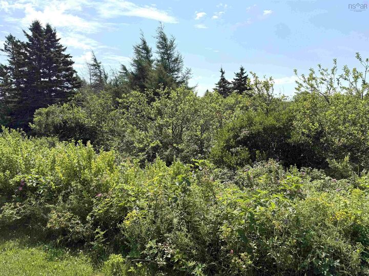 Property Photo:  Lot 32 Elderberry Drive  NS B0K 1E0 