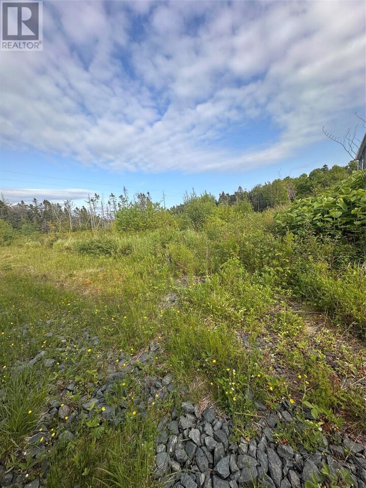 Property Photo:  51 A Kimberley Farm Road  NL A0E 2Y0 
