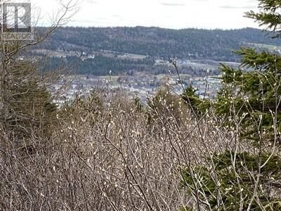 Property Photo:  129A English Hill Road  NL A1Y 1A8 