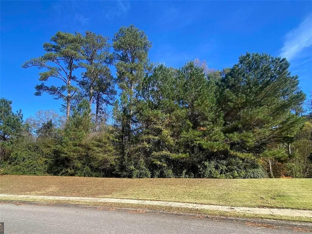 Property Photo: 110 Morgan Drive GA 30240