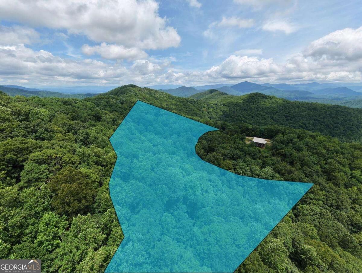 Property Photo:  34 Ac Caesar Gap Road A-G  GA 30546 