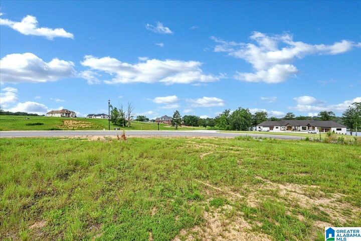 Property Photo:  Lot 20 Ridgewood Drive 20  AL 35055 