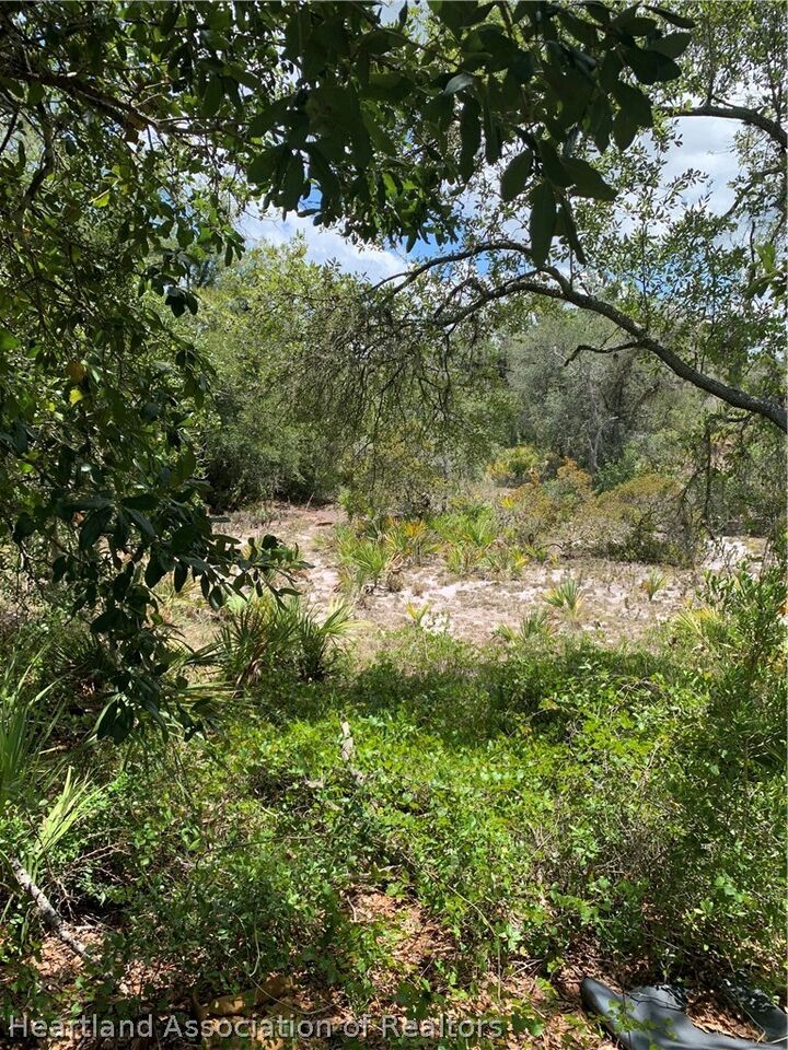Property Photo: 221 Gloaming Drive FL 33852