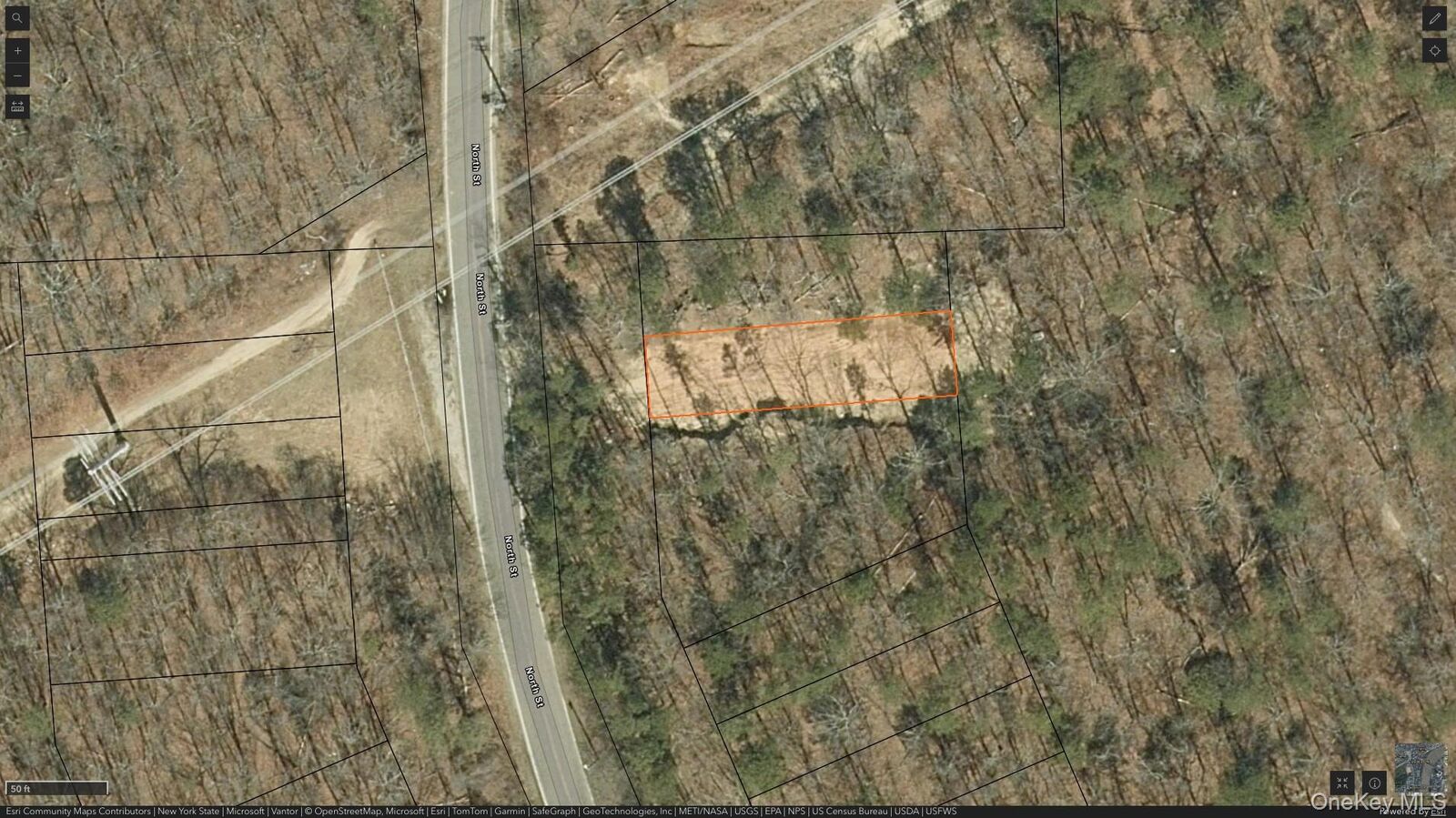 Property Photo:  Manor Yaphank Road  NY 11949 