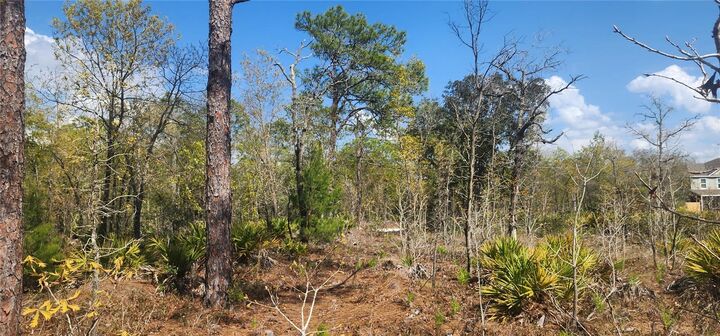 Property Photo: 18043 Ramsey Road FL 34614