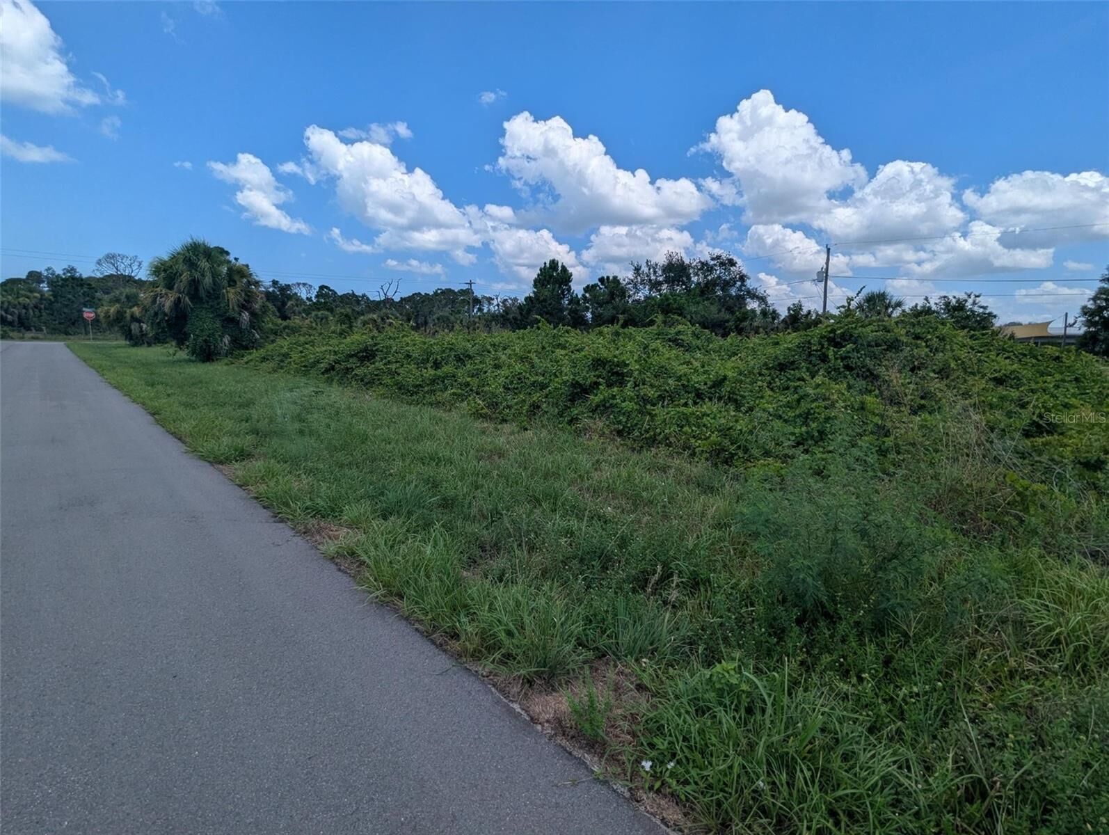 Property Photo: 3420 Sarto Lane FL 33947