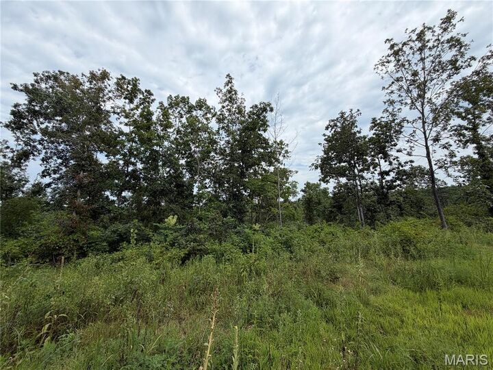 Property Photo:  #400 Madison 410  MO 63645 