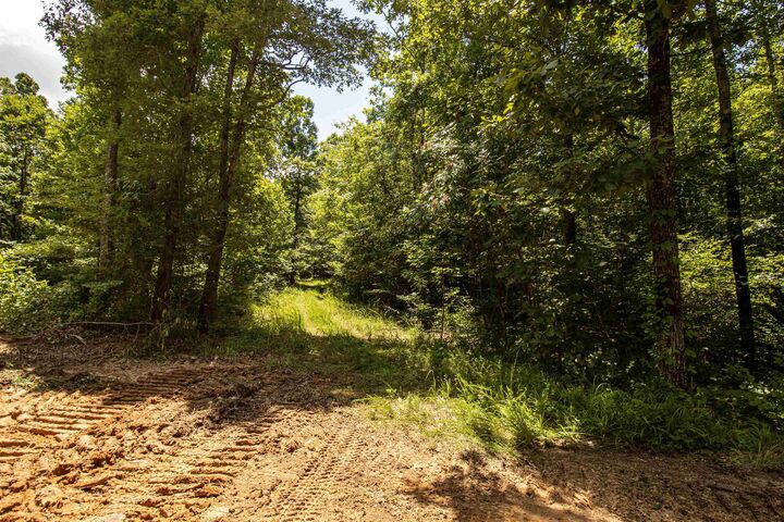 Property Photo:  00 100 Hwy  TN 38381 