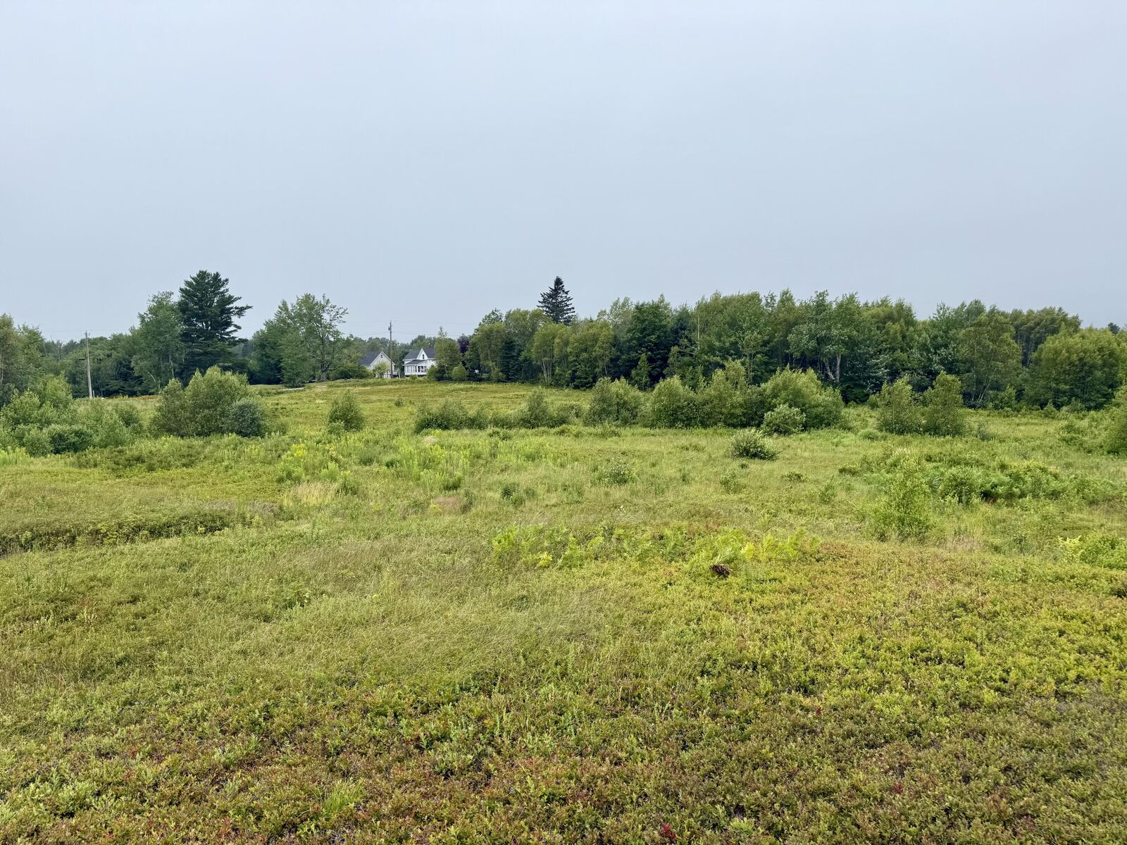 Property Photo:  Lot 35 Guzzle Road  ME 04607 