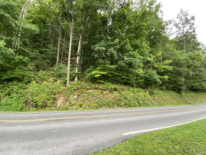 Property Photo:  0000 Glades Road  TN 37738 