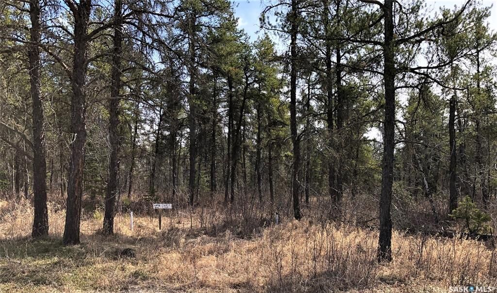 Property Photo:  Rural Address  SK S0E 0Y0 