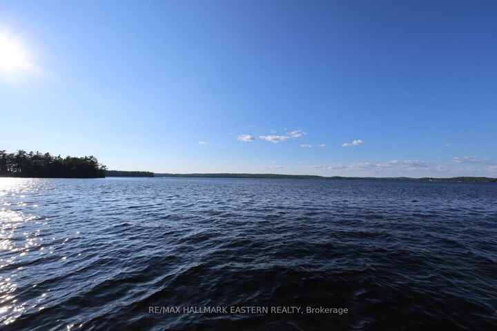 173 High Shore Road — photo 1