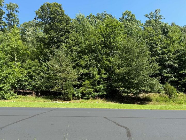 Property Photo:  393 W Mountain Drive  TN 37854 
